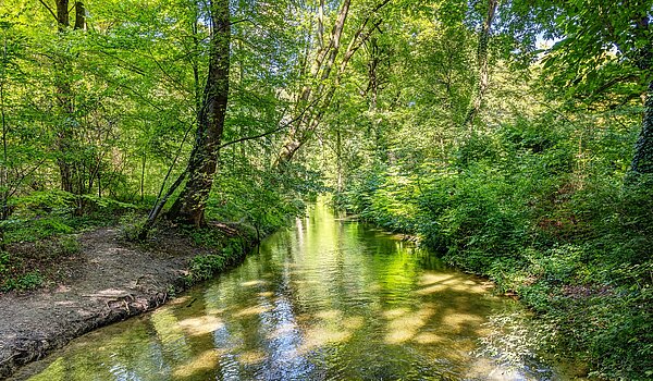 Maisonettewohnung mit 3 Zimmern | München-Lehel | 2209ML5 | ...Englischen Garten...