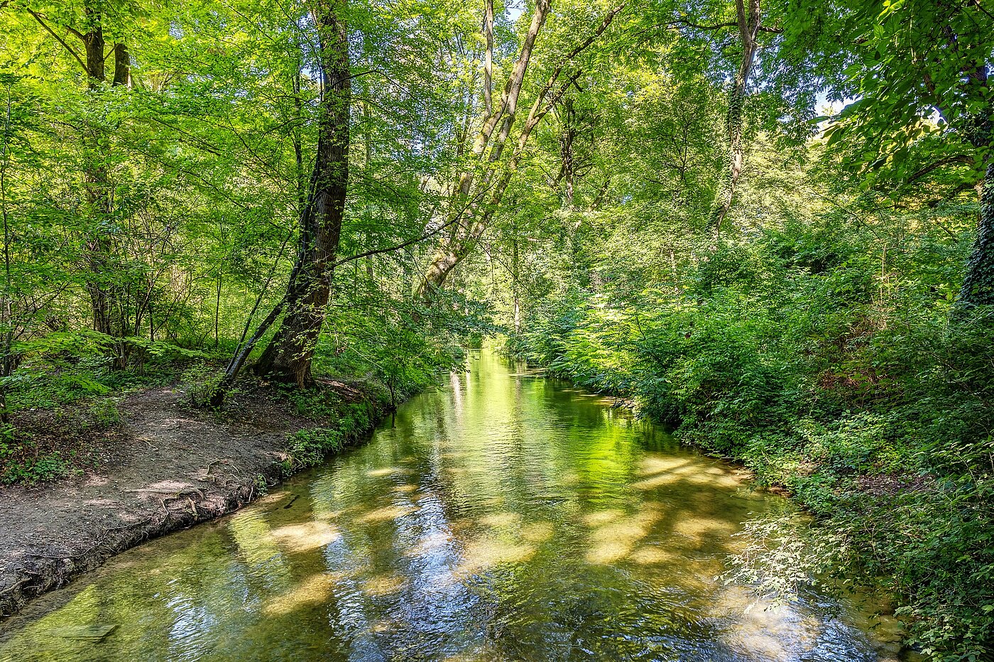 Maisonettewohnung mit 3 Zimmern | München-Lehel | 2209ML5 | ...Englischen Garten...