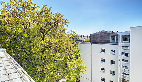 Penthouse mit 2 Zimmern | München-Maxvorstadt | 70427 | ...ins Grüne