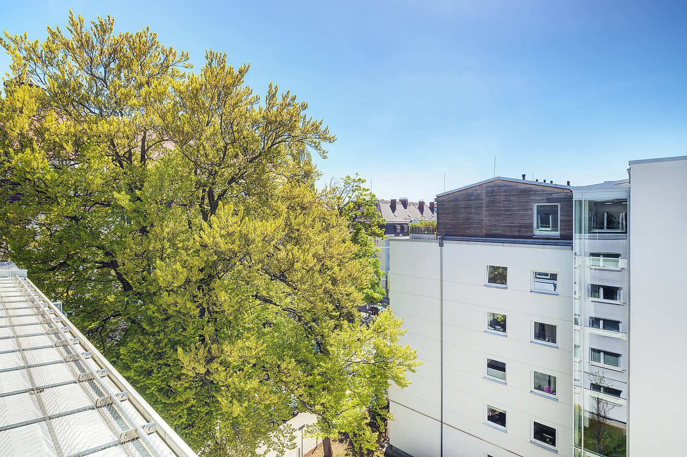 Penthouse mit 2 Zimmern | München-Maxvorstadt | 70427 | ...ins Grüne
