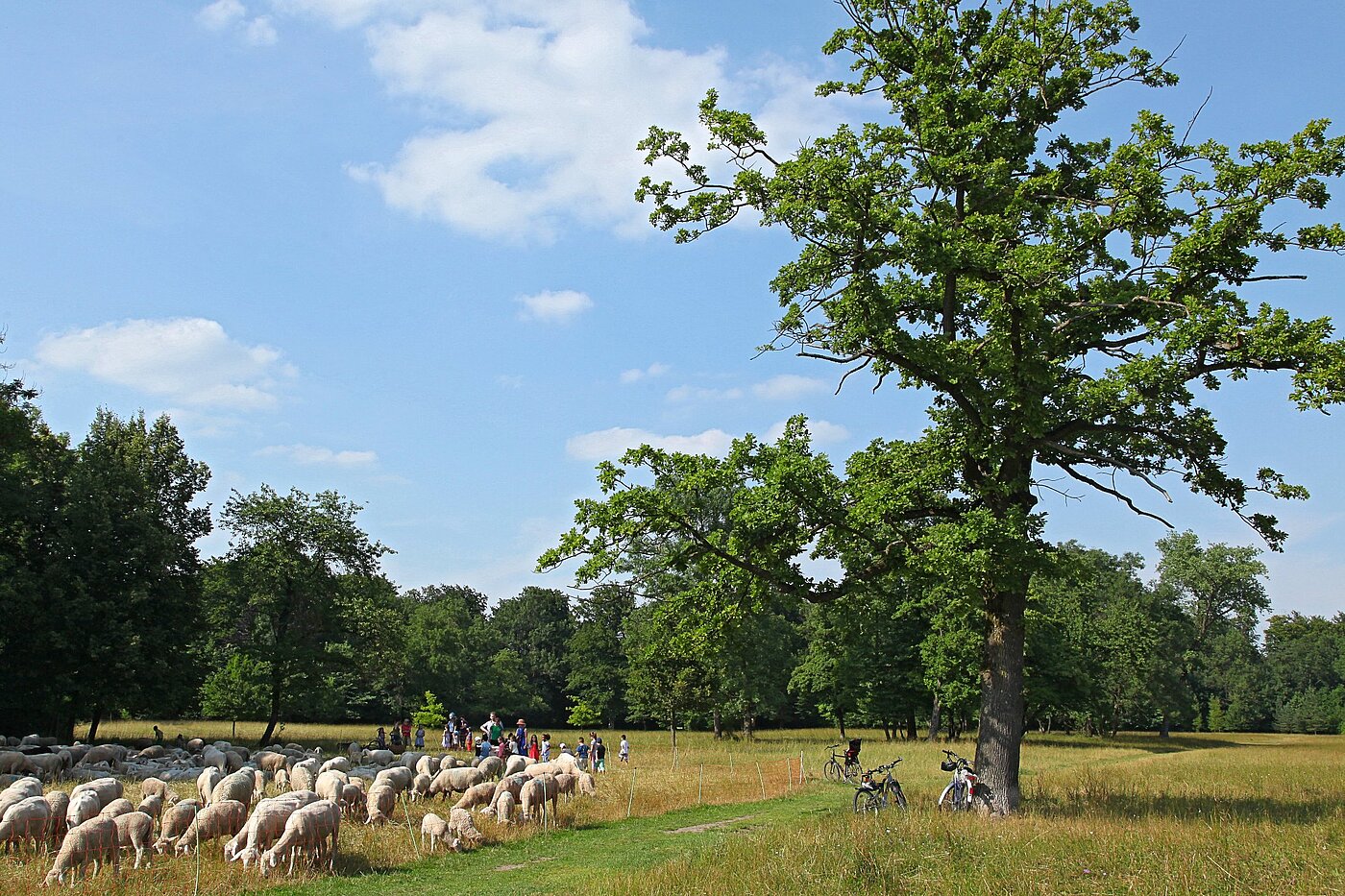 Etagenwohnung mit 1 Zimmer | München-Freimann | 2105ML4 | Englischer Garten
