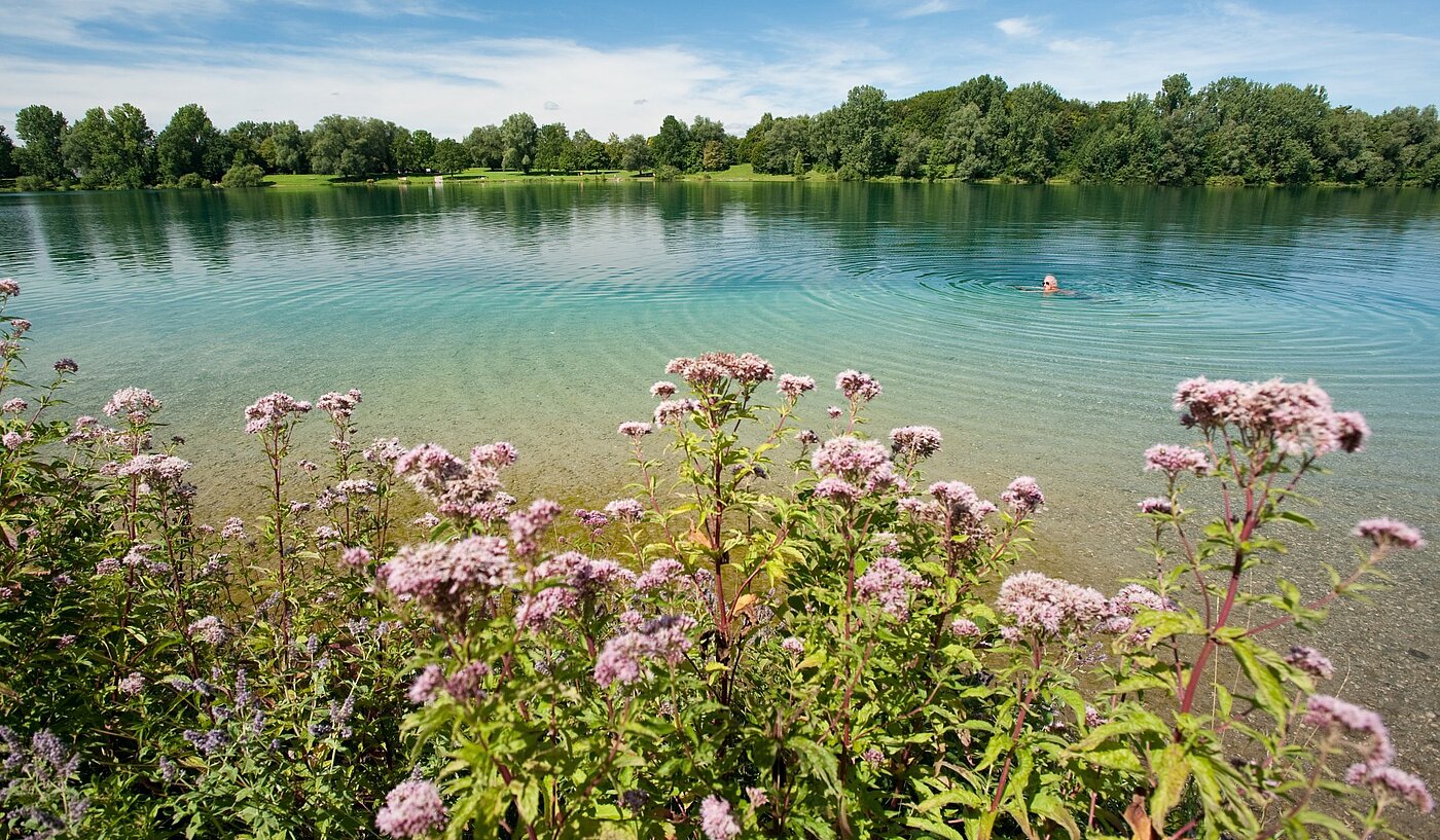 Etagenwohnung mit 3 Zimmern | Karlsfeld | 1904ML1 | ...vom Karlsfelder See