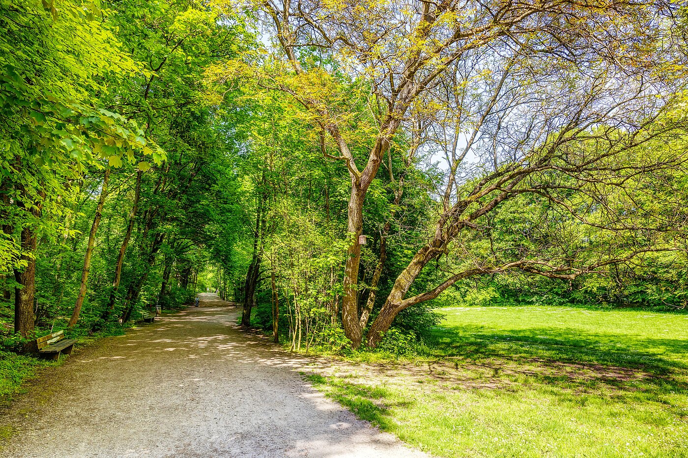 Etagenwohnung mit 2.5 Zimmern | München-Sendling | 70067 | Vom Sendlinger Park aus...
