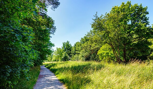 Etagenwohnung mit 3 Zimmern | 70483 | Riemer Park