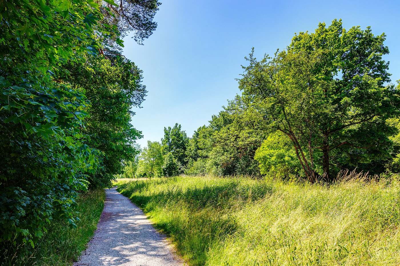 Etagenwohnung mit 3 Zimmern | 70483 | Riemer Park