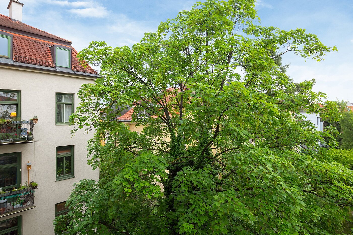 Etagenwohnung mit 1 Zimmer | München-Nymphenburg | 2102ML7 | Sommerliche Aussichten...