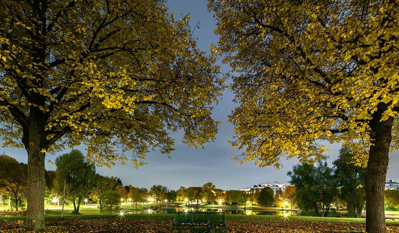 Etagenwohnung mit 1 Zimmer | München-Sendling-Westpark | 2008ML1 | Abenddämmerung im Westpark