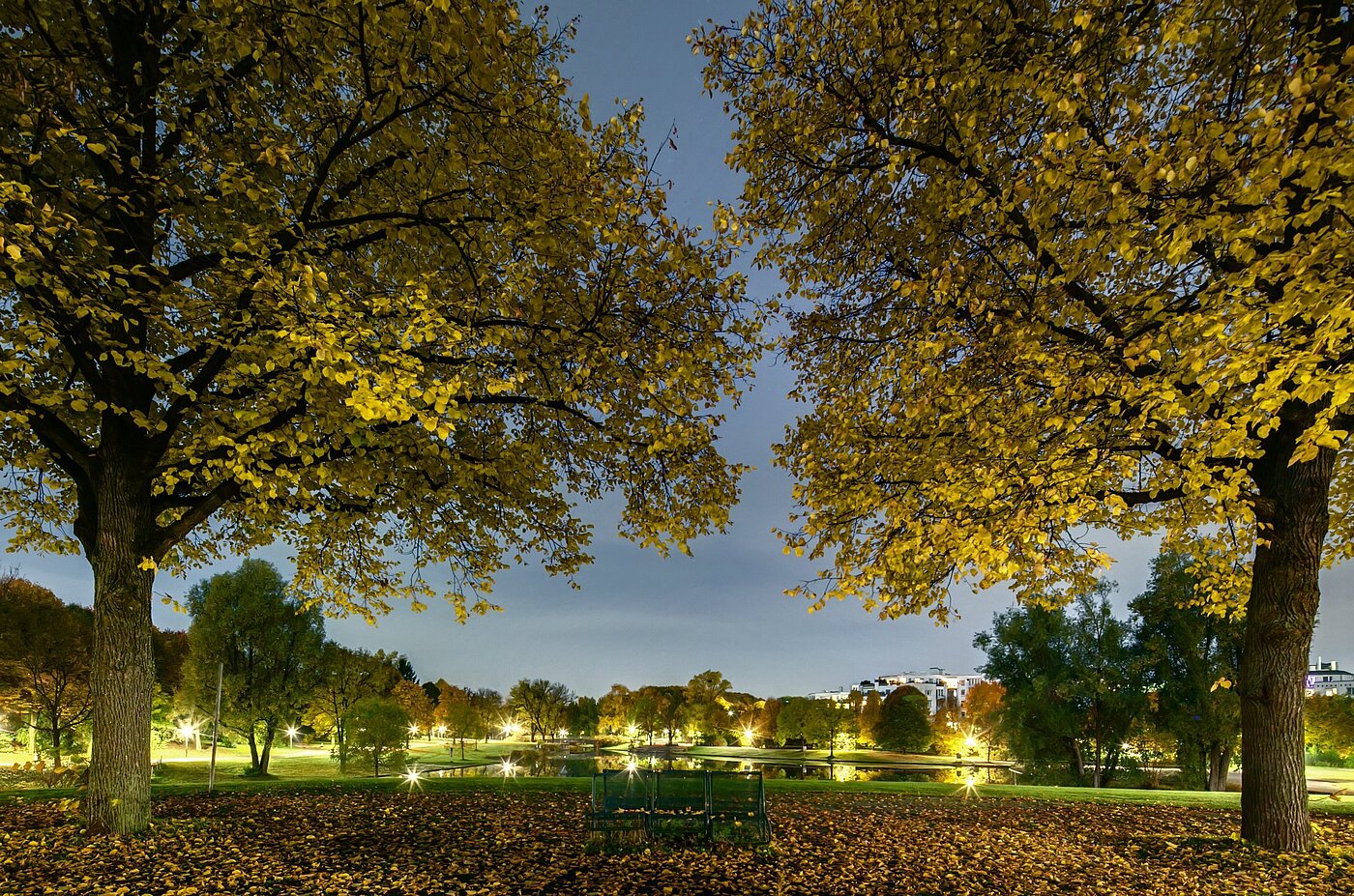 Etagenwohnung mit 1 Zimmer | München-Sendling-Westpark | 2008ML1 | Abenddämmerung im Westpark