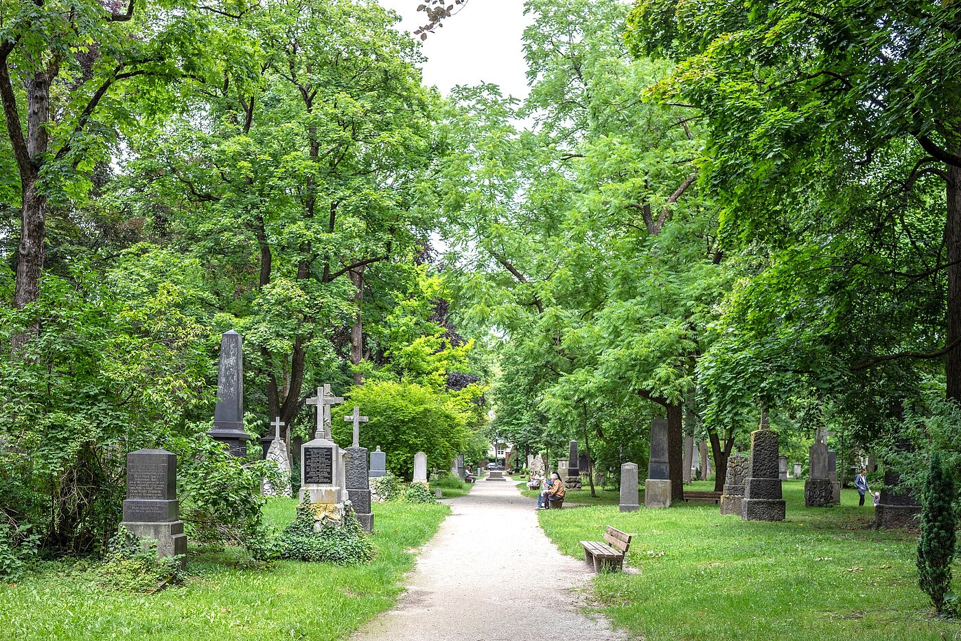 Etagenwohnung mit 3 Zimmern | München-Maxvorstadt | 70133 | Alter Nordfriedhof