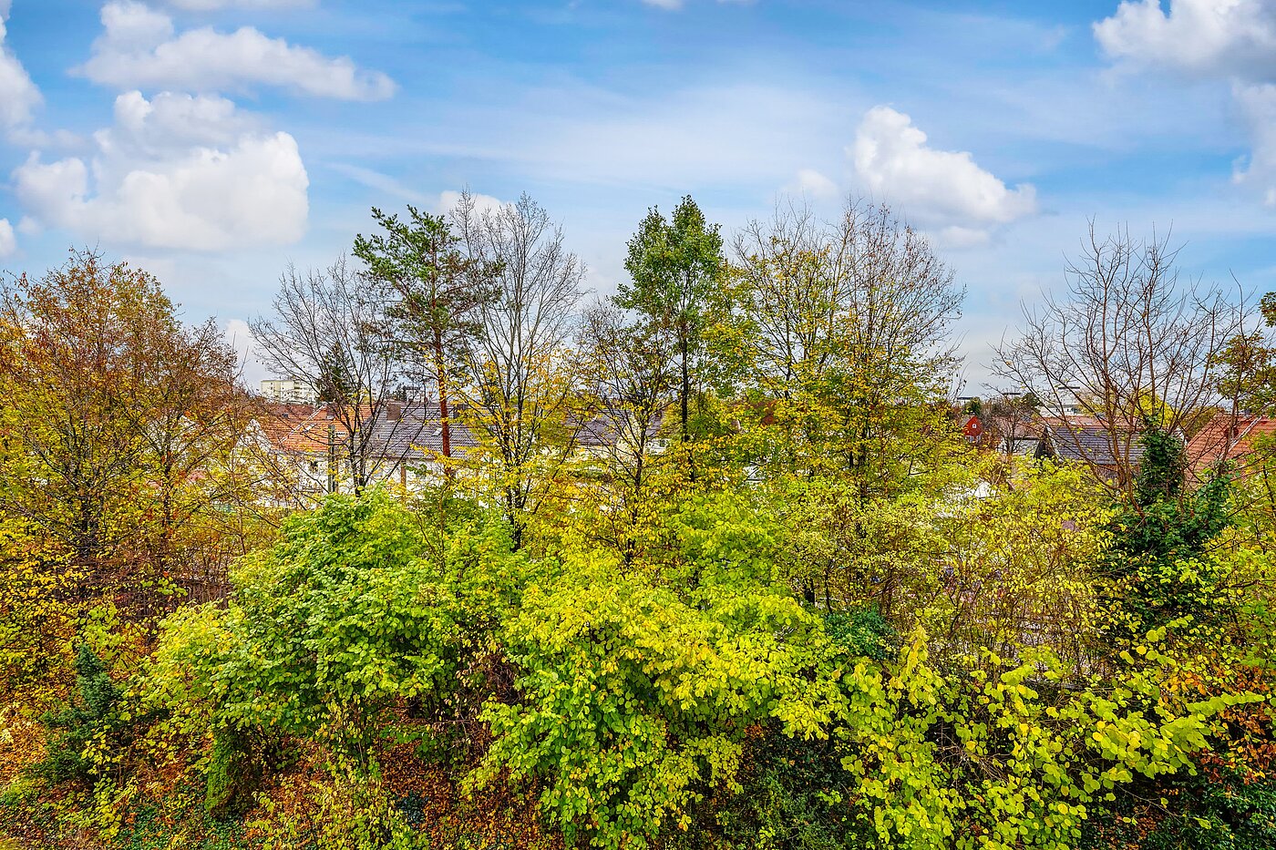 Etagenwohnung mit 2 Zimmern | Germering | 70029 | ...grünen Aussichten