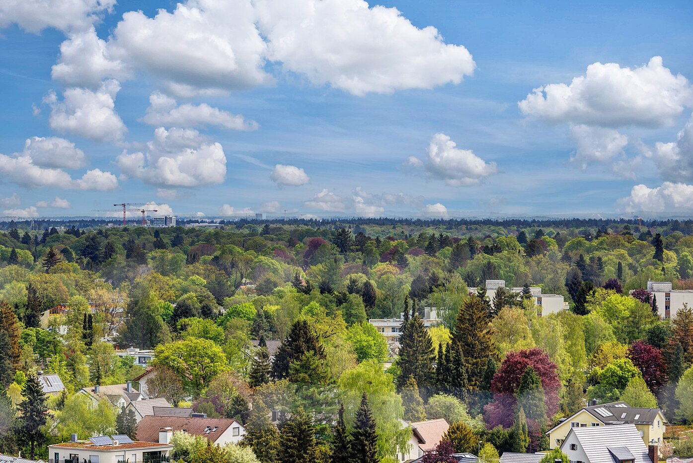 Etagenwohnung mit 1 Zimmer | München-Solln | 2201ML92 | ...eine herrliche Fernsicht