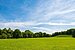 Apartment mit 1.5 Zimmern | München-Neuhausen | 70179 | ...viel Natur | Thumbnail