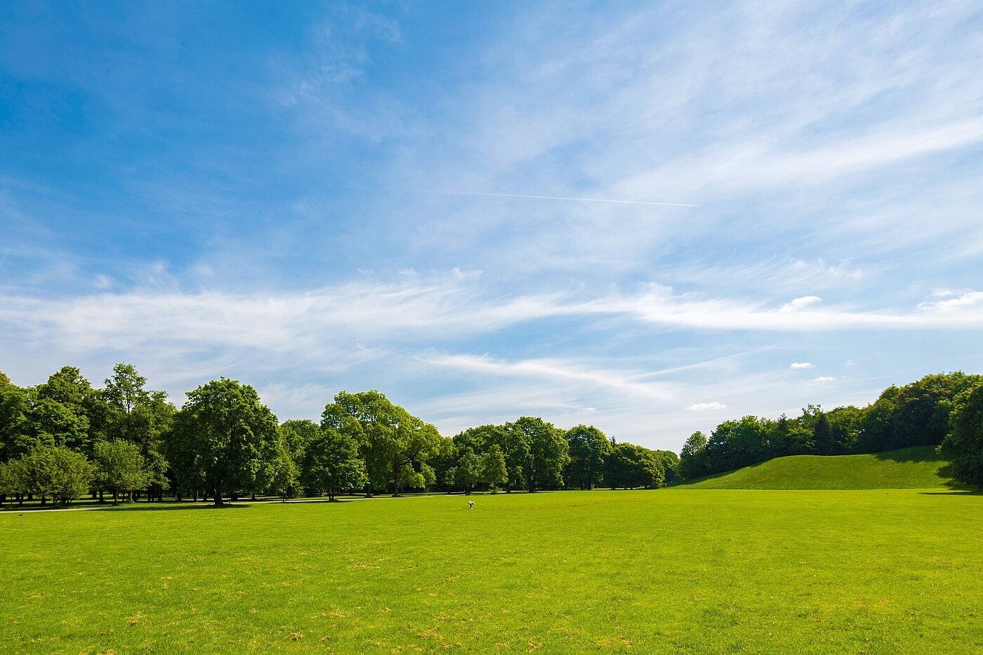 Apartment mit 1.5 Zimmern | München-Neuhausen | 70179 | ...viel Natur
