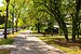 Apartment mit 1 Zimmer | München-Solln | 70499 | ...mit viel Grün | Thumbnail