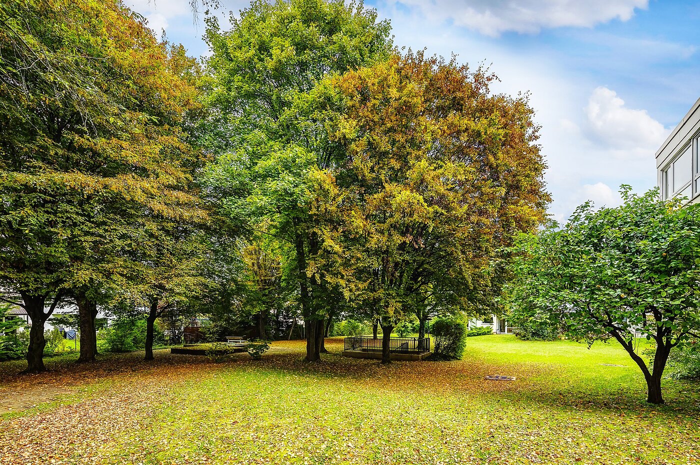 Etagenwohnung mit 1 Zimmer | München-Solln | 2109ML4 | Viel Grün um´s Haus...