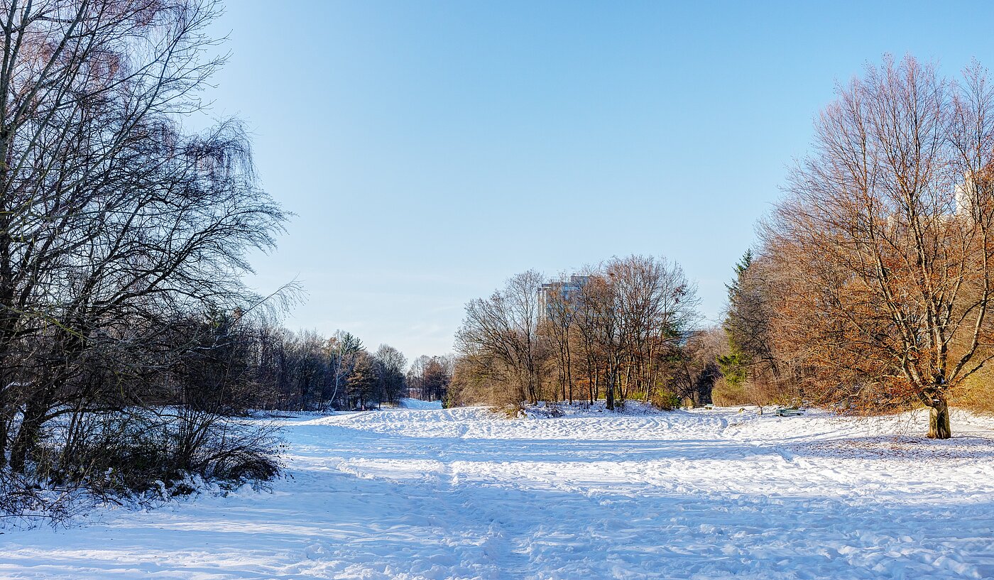 Etagenwohnung mit 3 Zimmern | München-Bogenhausen | 70085 | Grünanlage Pühnstraße