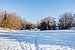 Winterimpression