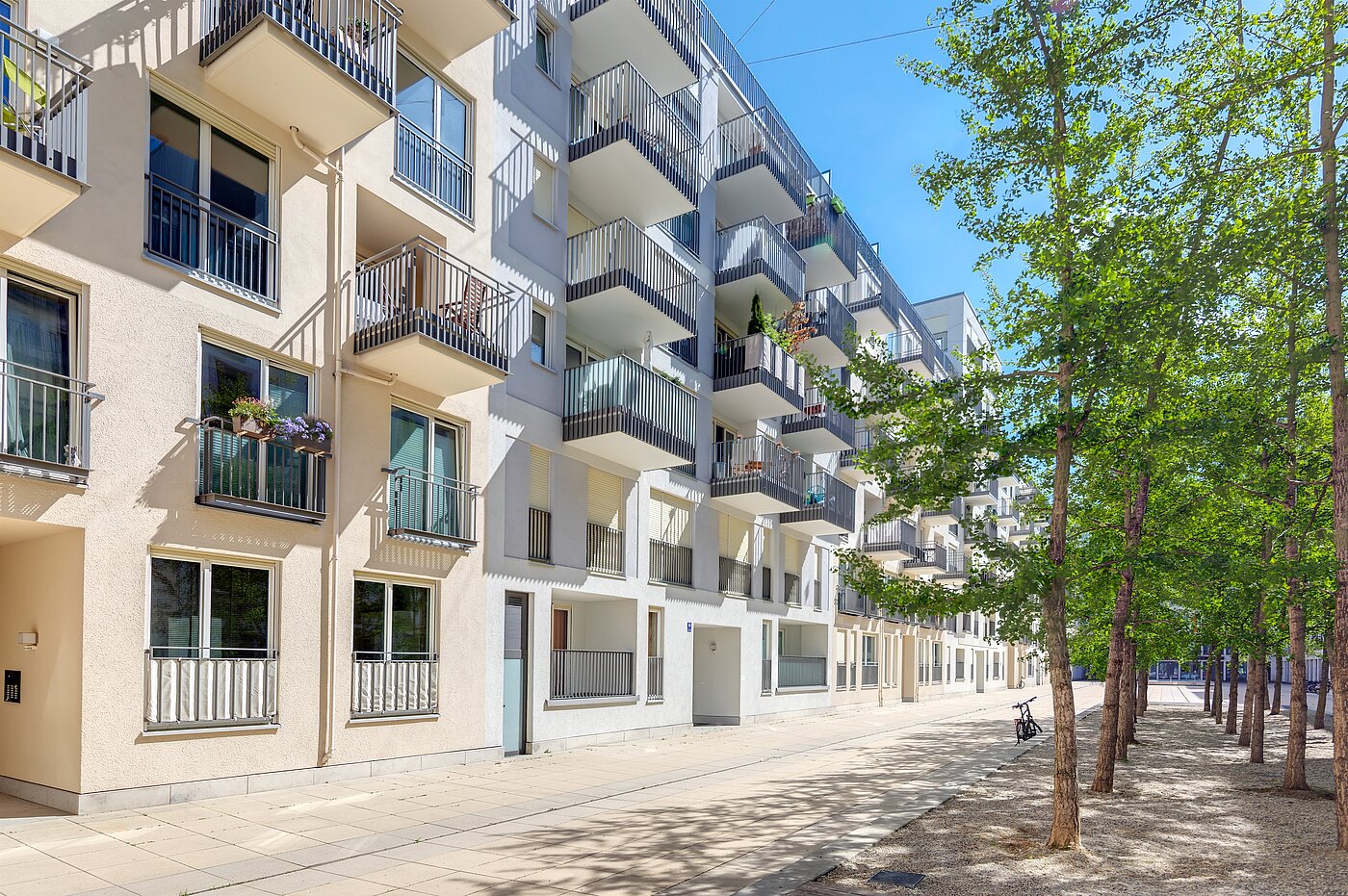 Etagenwohnung mit 2 Zimmern | München-Maxvorstadt | 70023 | Gepflegtes Objekt