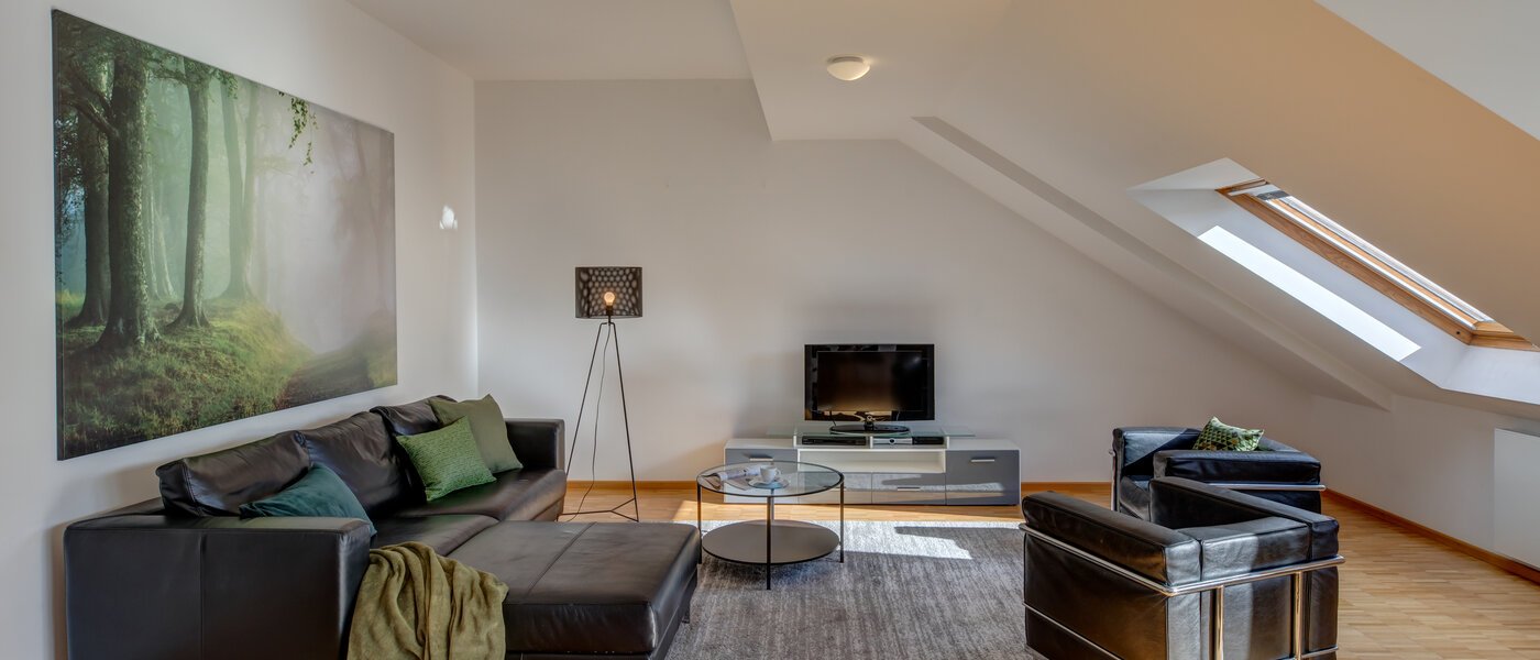 Dachterrassenwohnung München Maxvorstadt - Museumsviertel 01 Wohnbereich 1