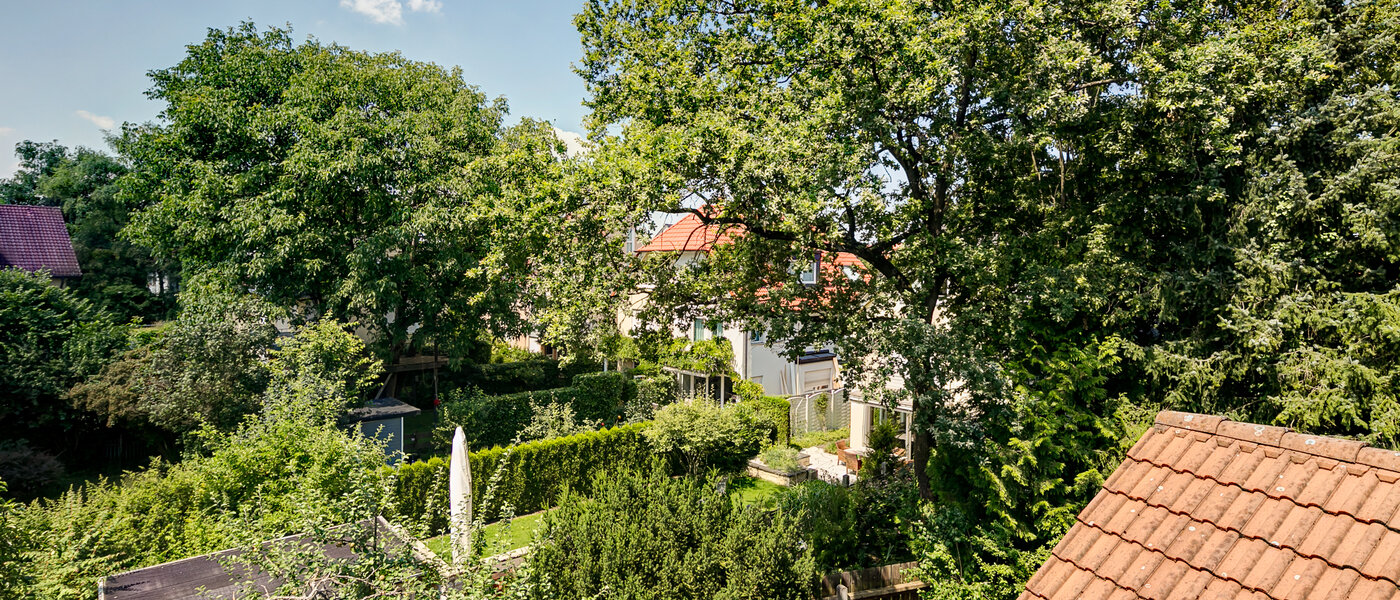 Dachgeschosswohnung München Obermenzing 03 Aussicht 10079