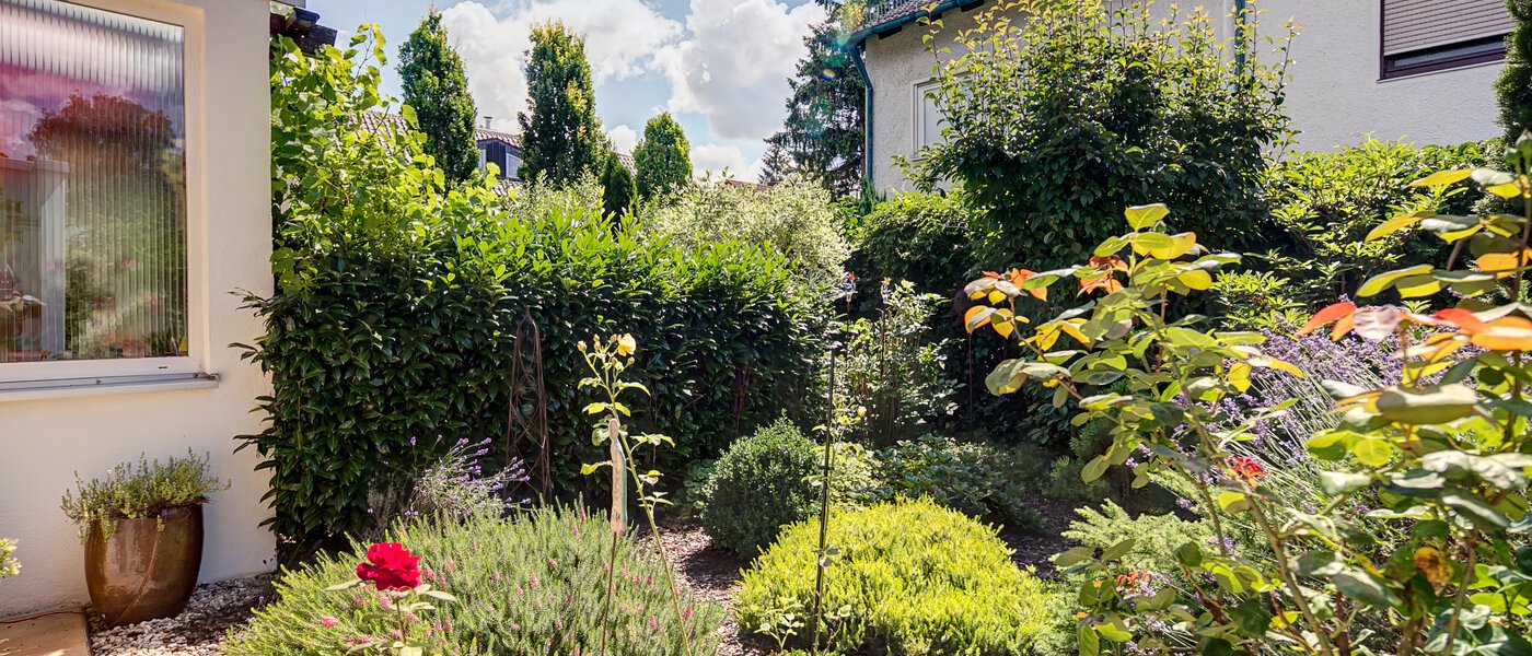 Reihenhaus München Fasangarten 03 Garten 10099