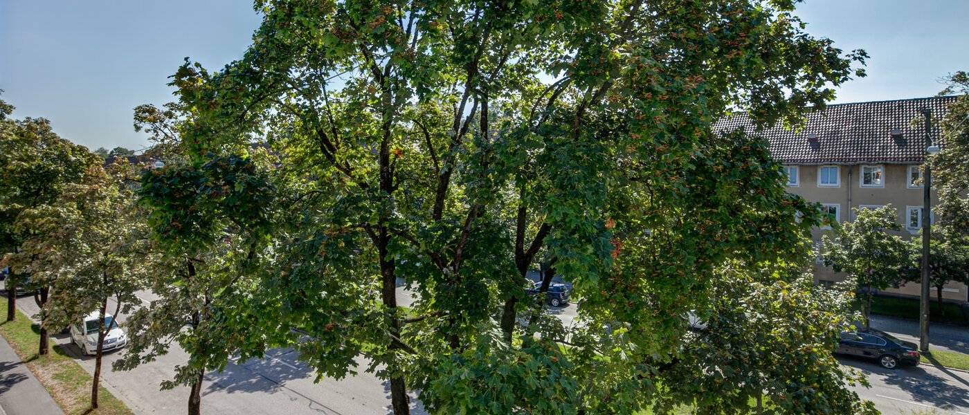 Wohnung München Westpark 05 Aussicht 10184