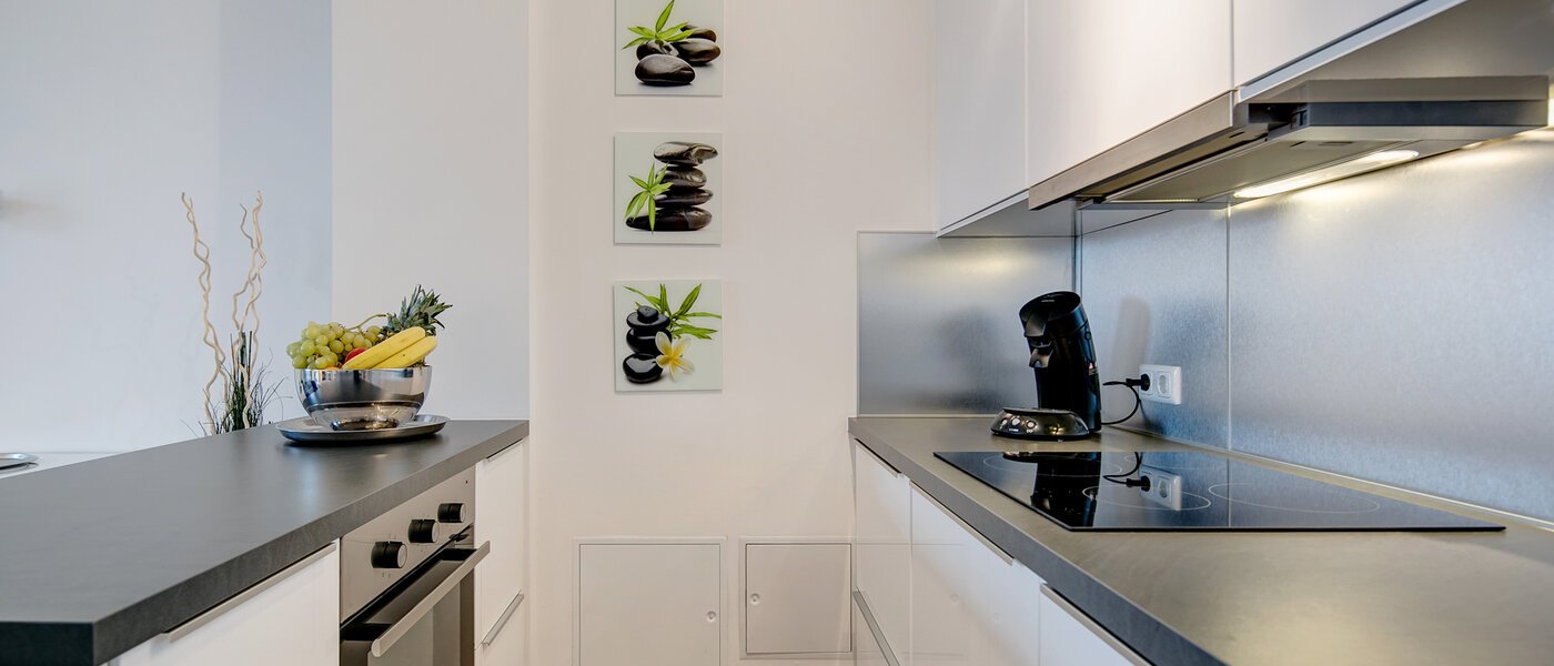 Wohnung München Ludwigsvorstadt 01 Küche 10286