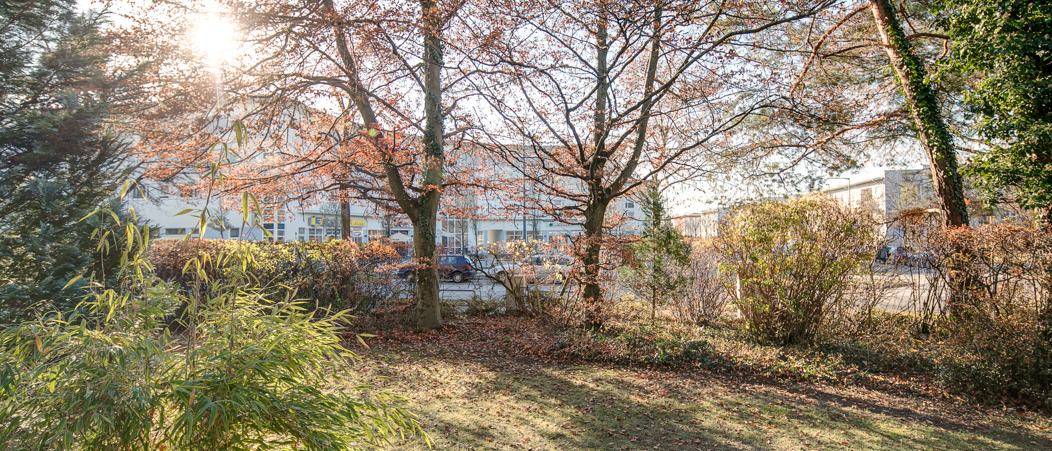 Wohnung München Obermenzing 03 Aussicht 10312