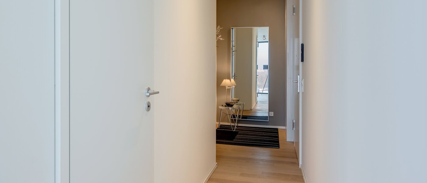 Loft München Nymphenburg 03 Flur/Gang 10348