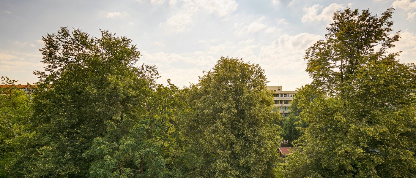 Wohnung München Sendling-Westpark 02 Aussicht 10496