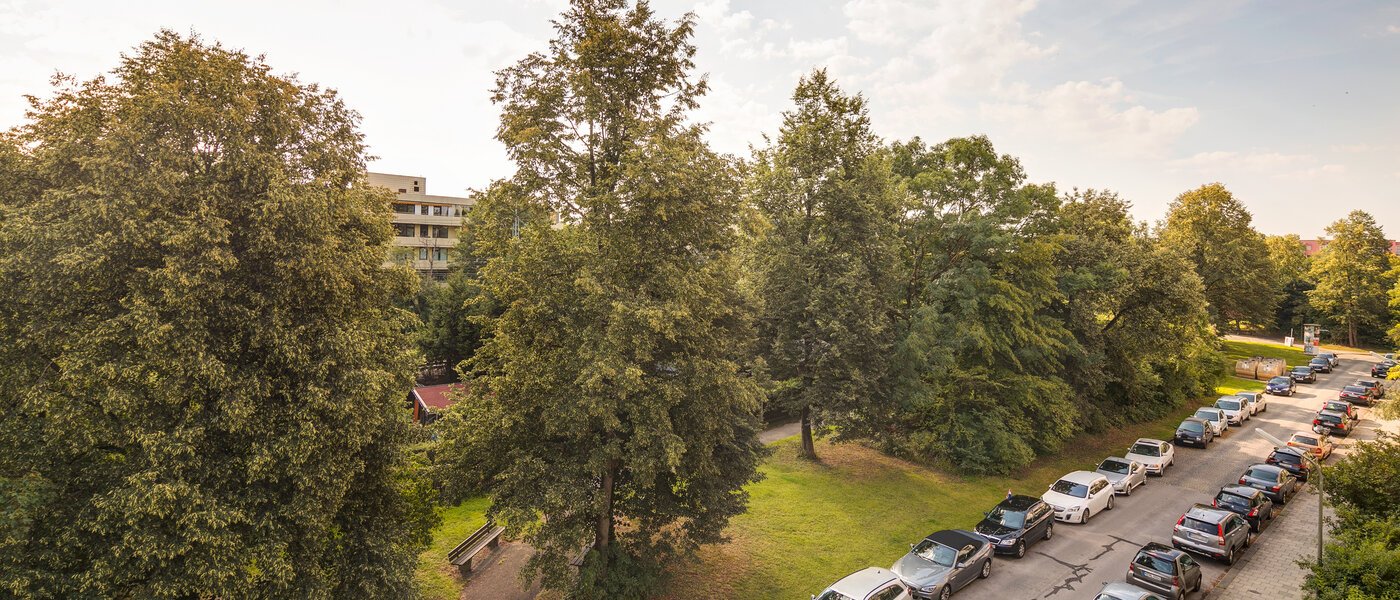 Wohnung München Sendling-Westpark 03 Aussicht 10496