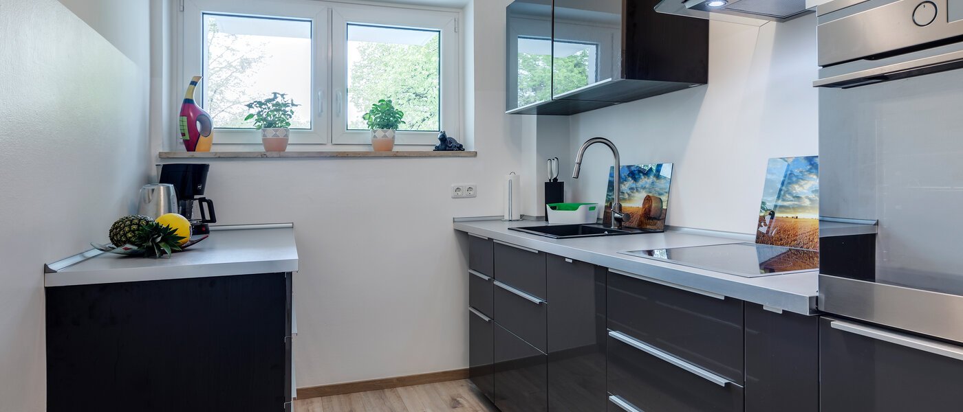 Wohnung München Haidhausen 01 Küche 10555