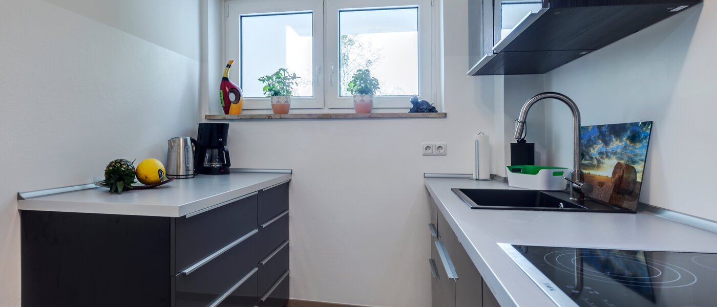 Wohnung München Haidhausen 02 Küche 10555