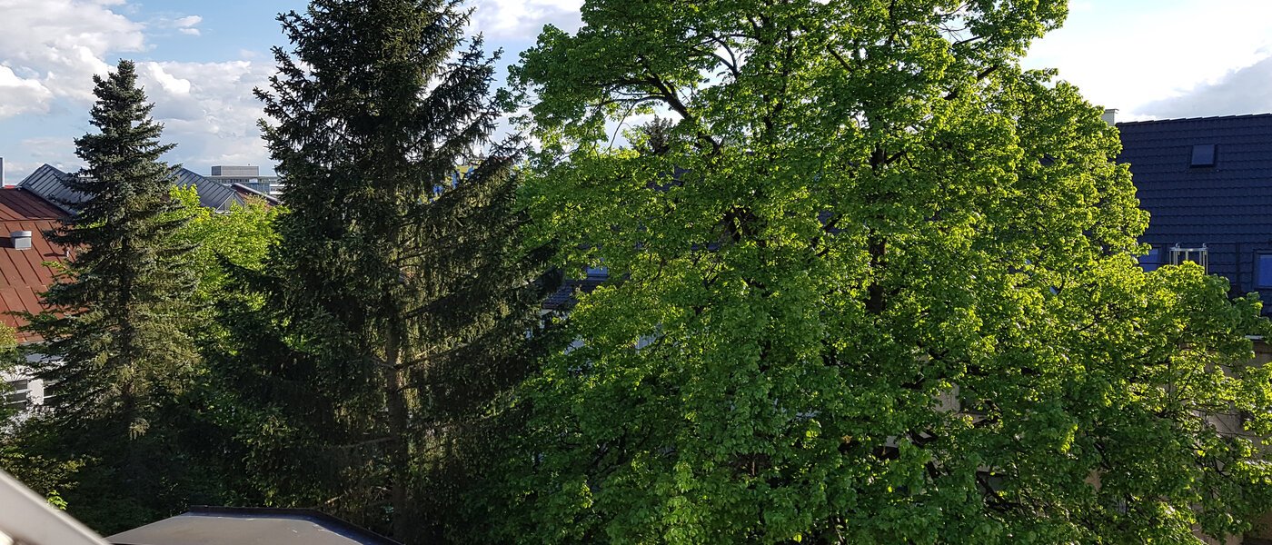 Dachgeschosswohnung München Obersendling 06 Aussicht 10566