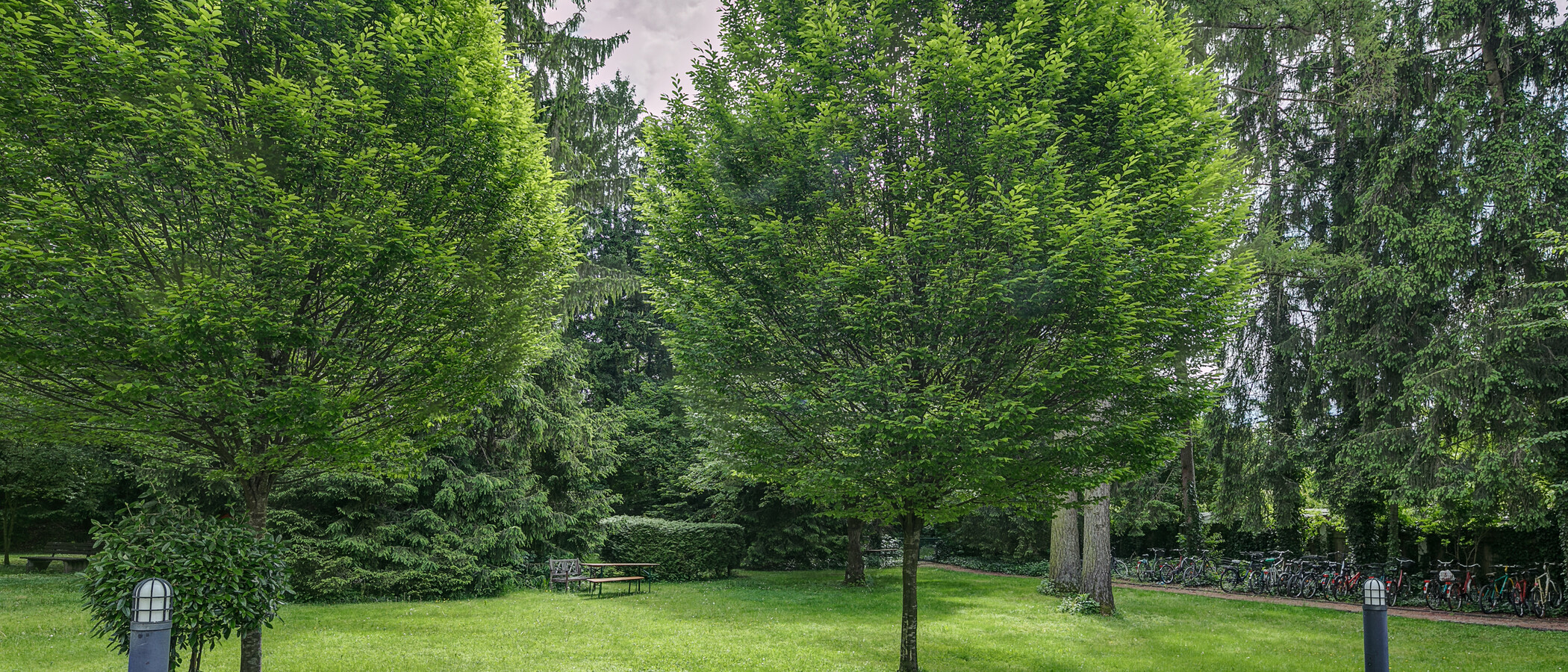 Wohnung München Schwabing-Georgenschwaige 01 Aussicht 10584