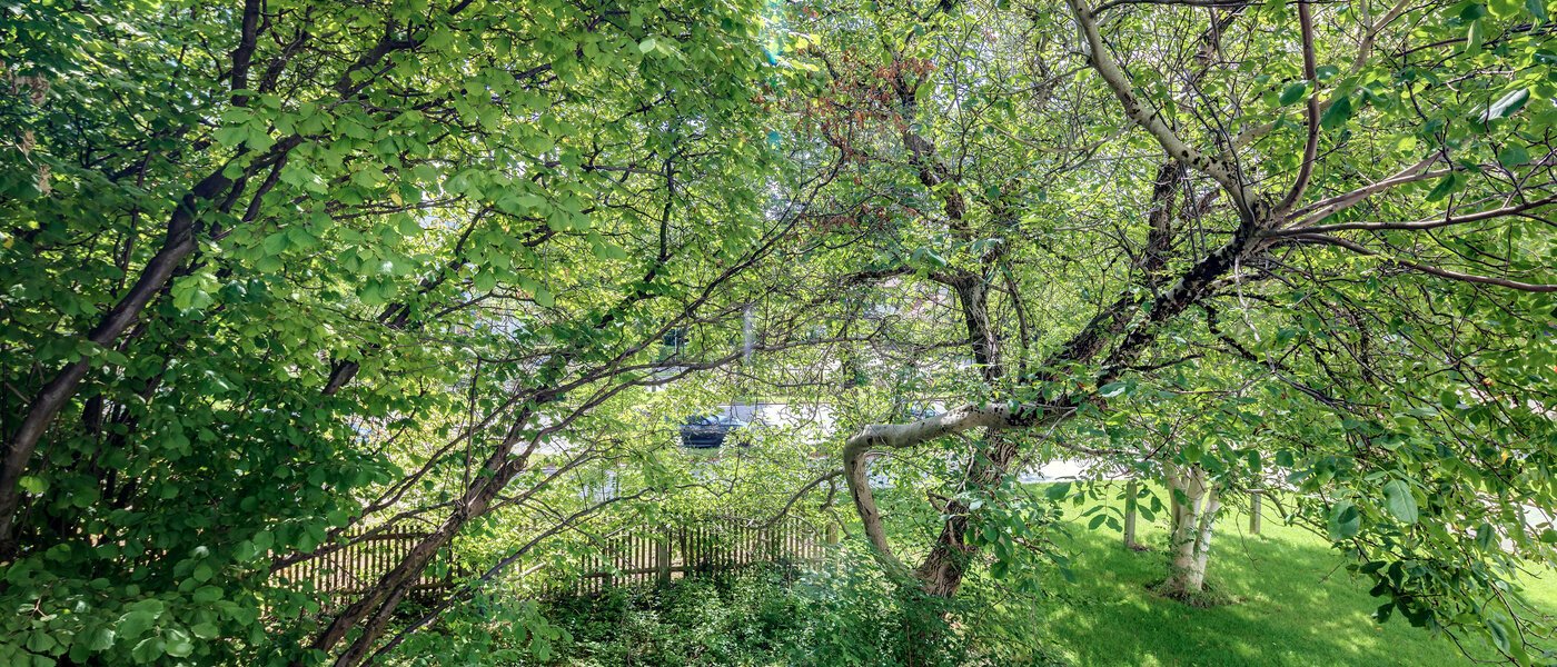 Wohnung München Bogenhausen 02 Aussicht 10643