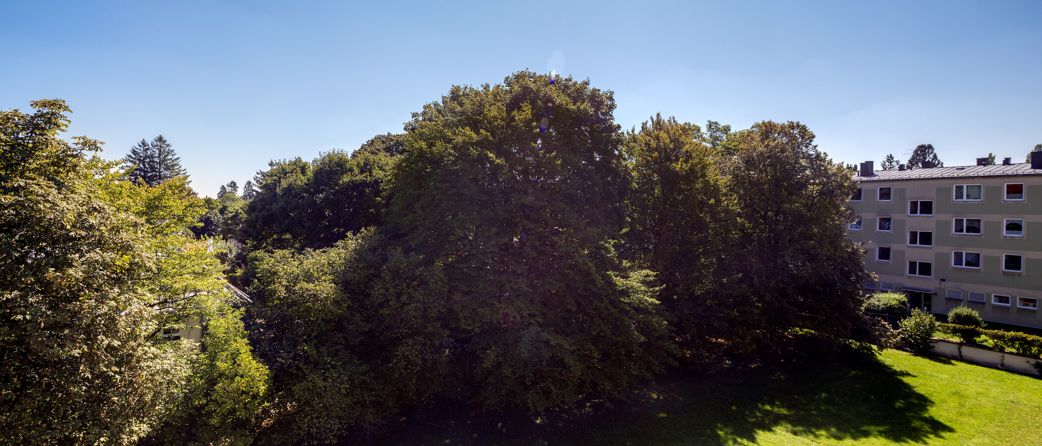 Wohnung München Berg am Laim 01 Aussicht 10726