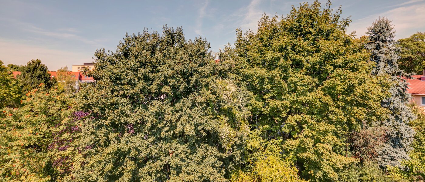 Apartment München Ramersdorf 02 Aussicht 10733