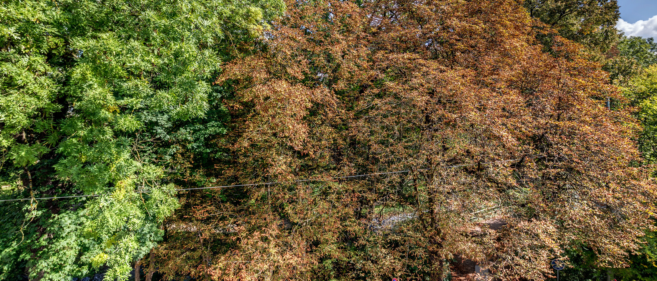 Wohnung München Pasing 05 Aussicht 10754
