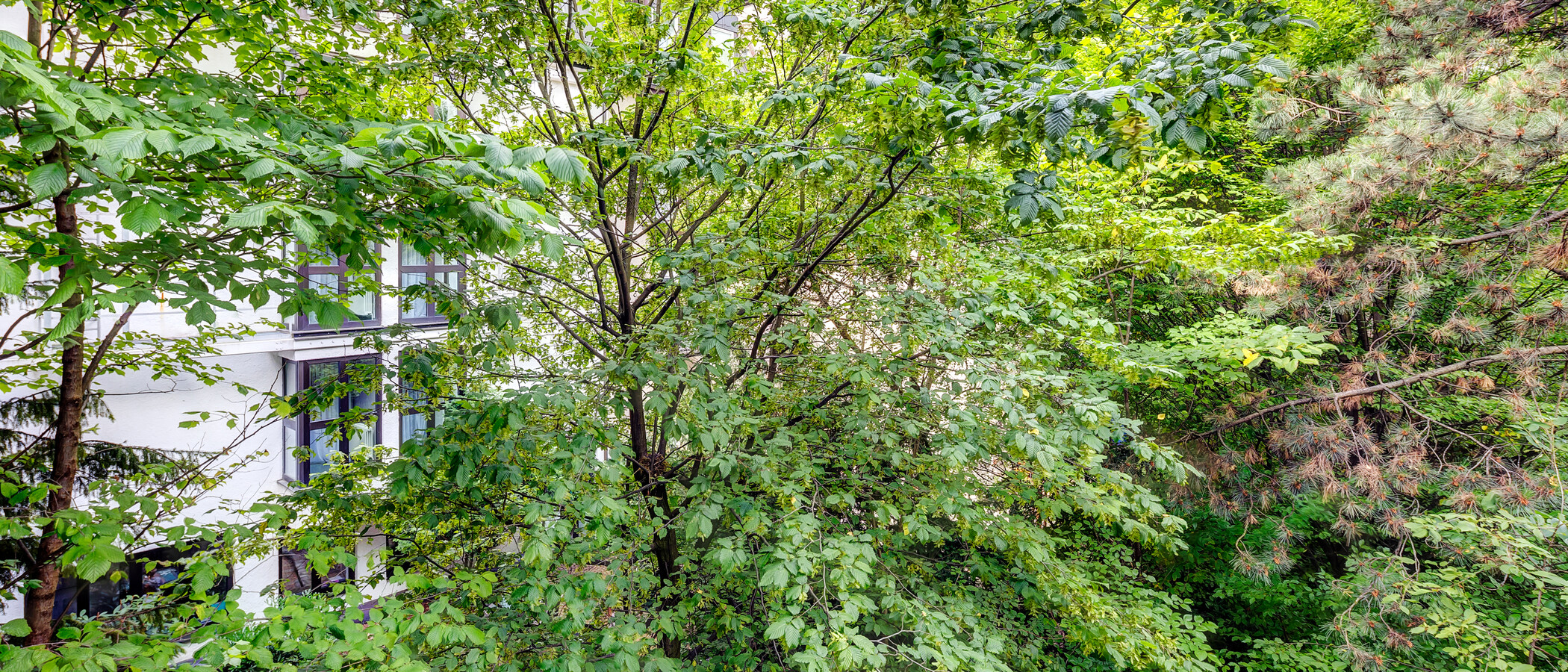 Wohnung München Maxvorstadt 02 Aussicht 10870