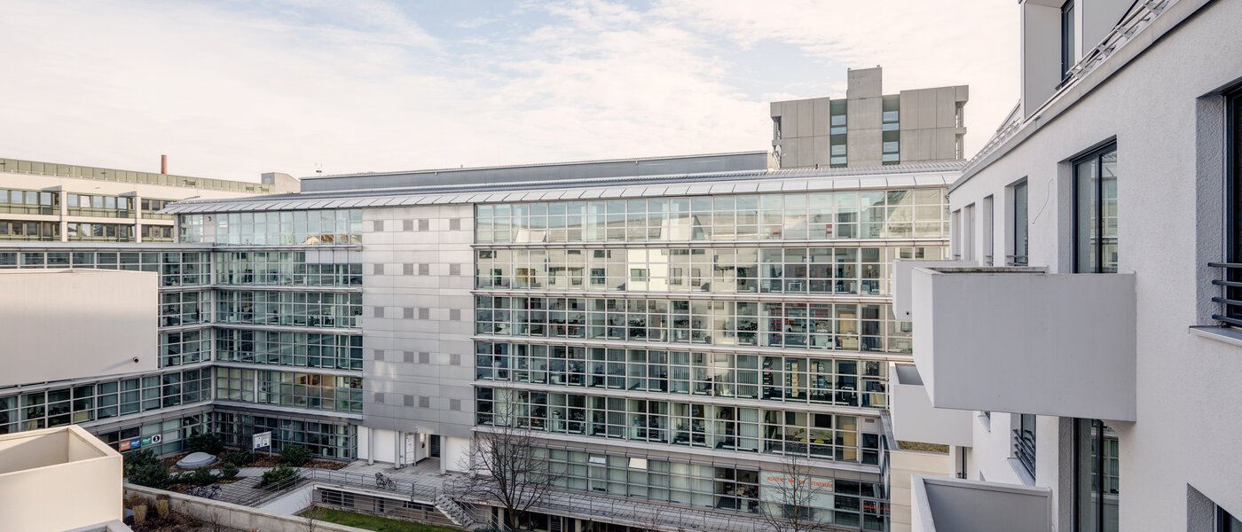 Galeriewohnung München Maxvorstadt 01 Aussicht 10881