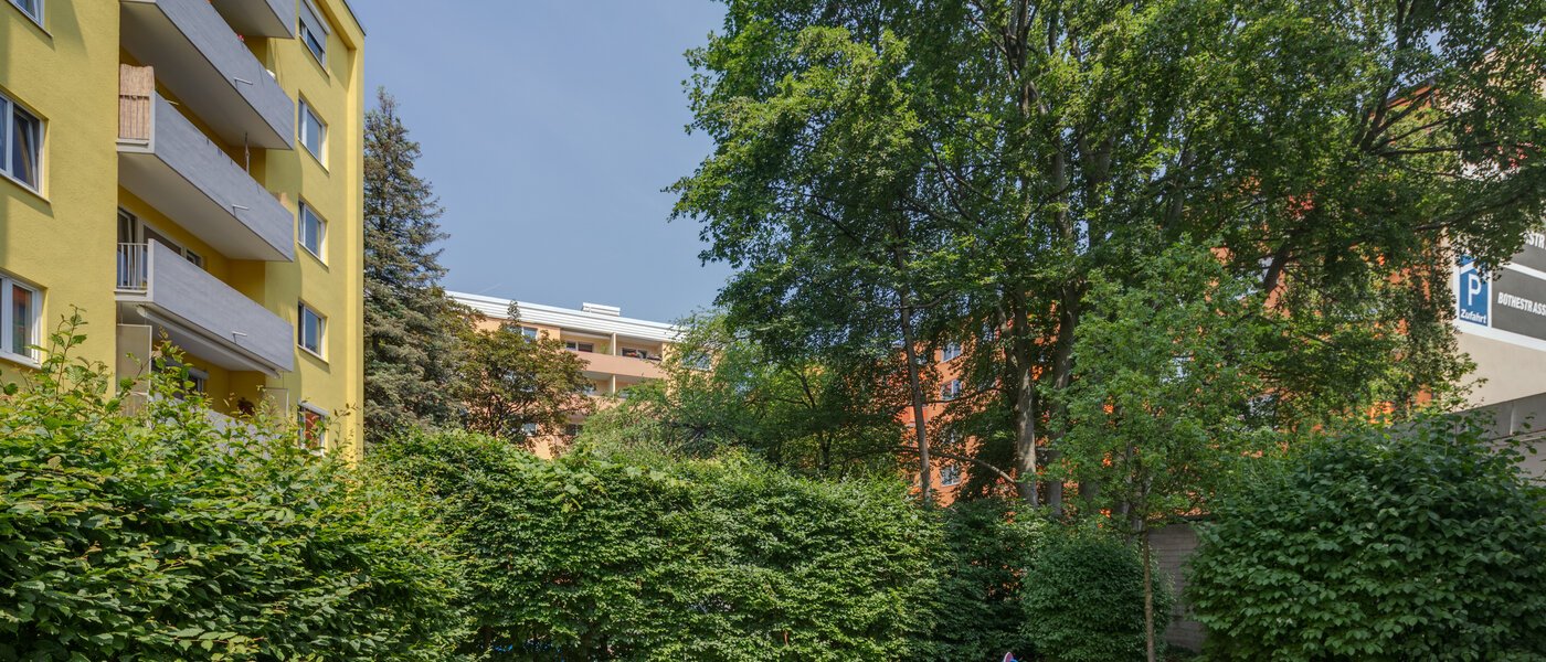 Wohnung München Haidhausen 01 Garten 10914