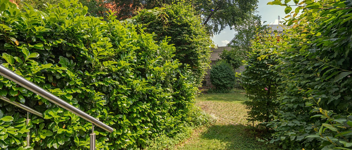 Wohnung München Haidhausen 01 Aussicht 10914