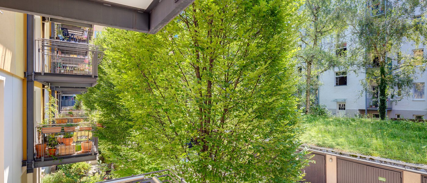 Wohnung München Schwabing-West (rund um den Hohenzollernplatz) 02 Aussicht 10929