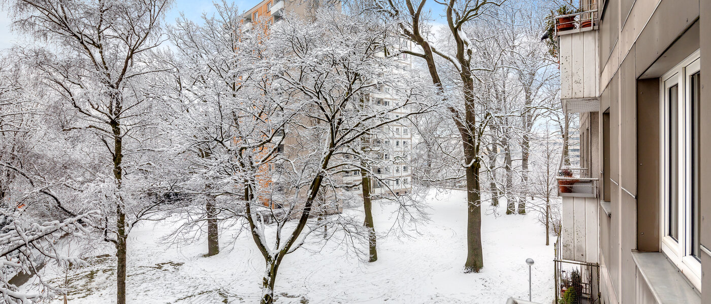 Apartment München Parkstadt Bogenhausen 01 Aussicht 10938