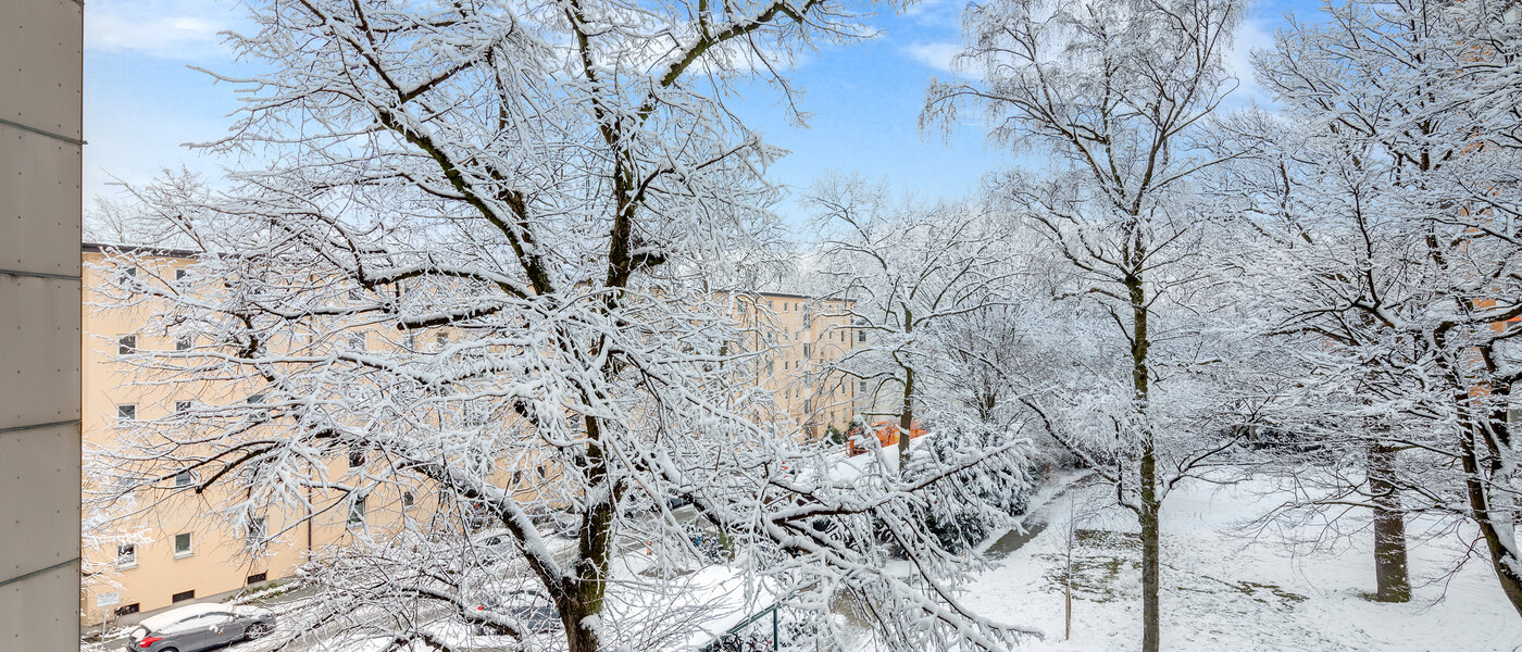 Apartment München Parkstadt Bogenhausen 02 Aussicht 10938
