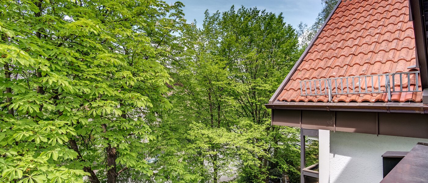 Maisonettewohnung München Oberföhring 02 Aussicht 10997