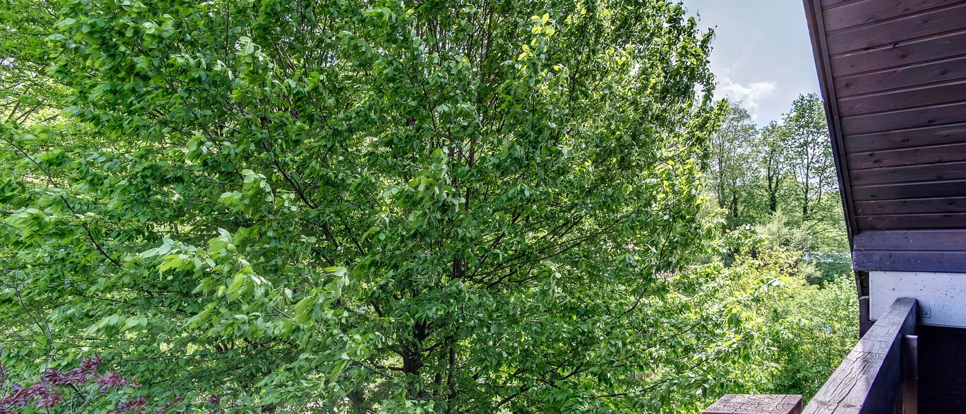 Maisonettewohnung München Oberföhring 05 Aussicht 10997