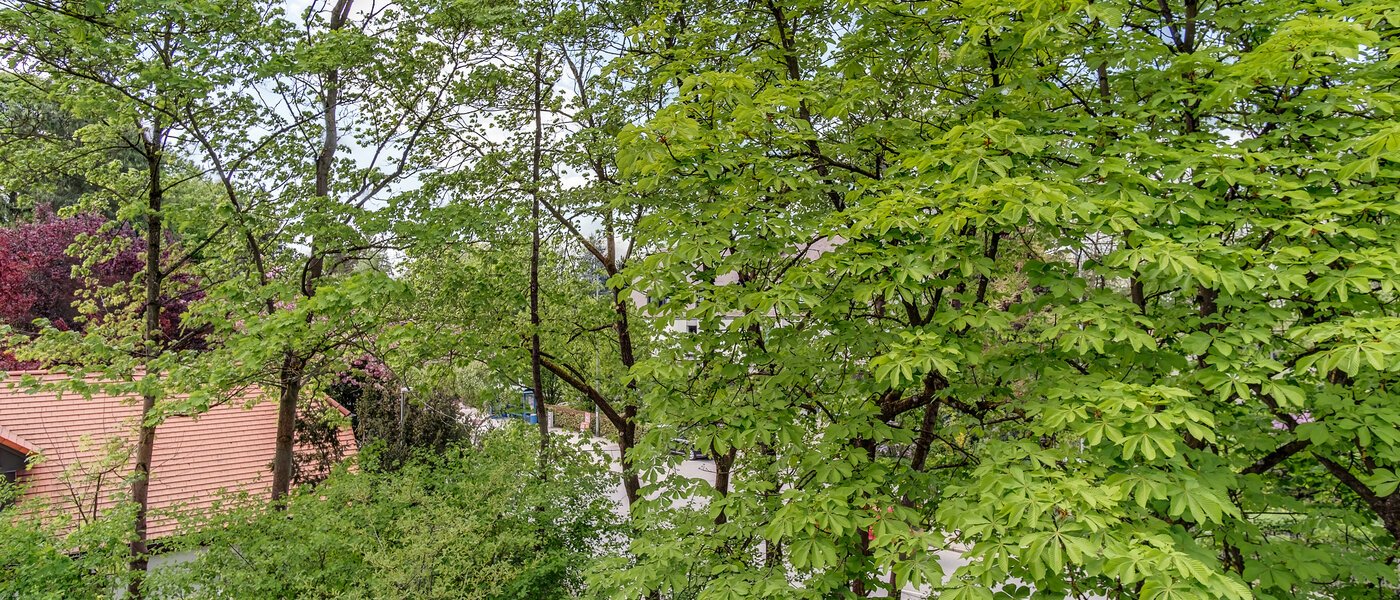 Maisonettewohnung München Oberföhring 07 Aussicht 10997