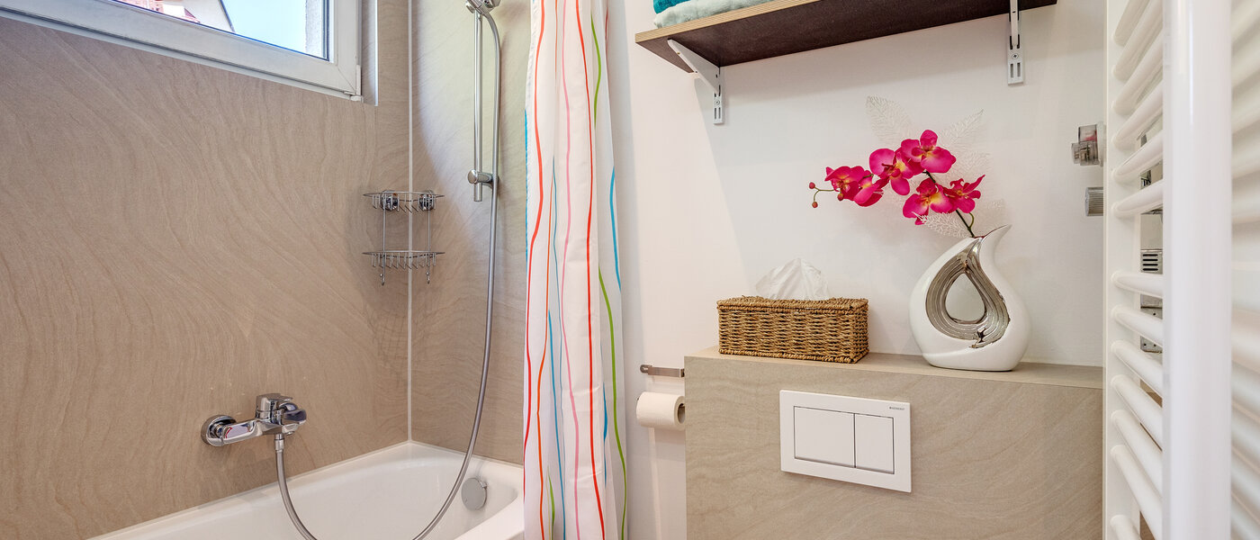 Wohnung München Neuhausen 02 Badezimmer 11009